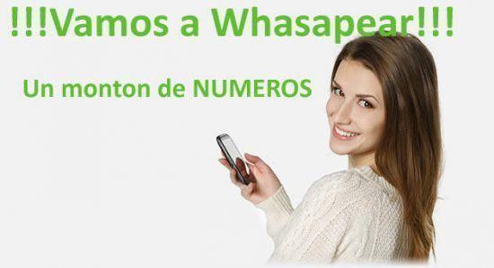 O Whatsapp De Mujeres Colombia-5696